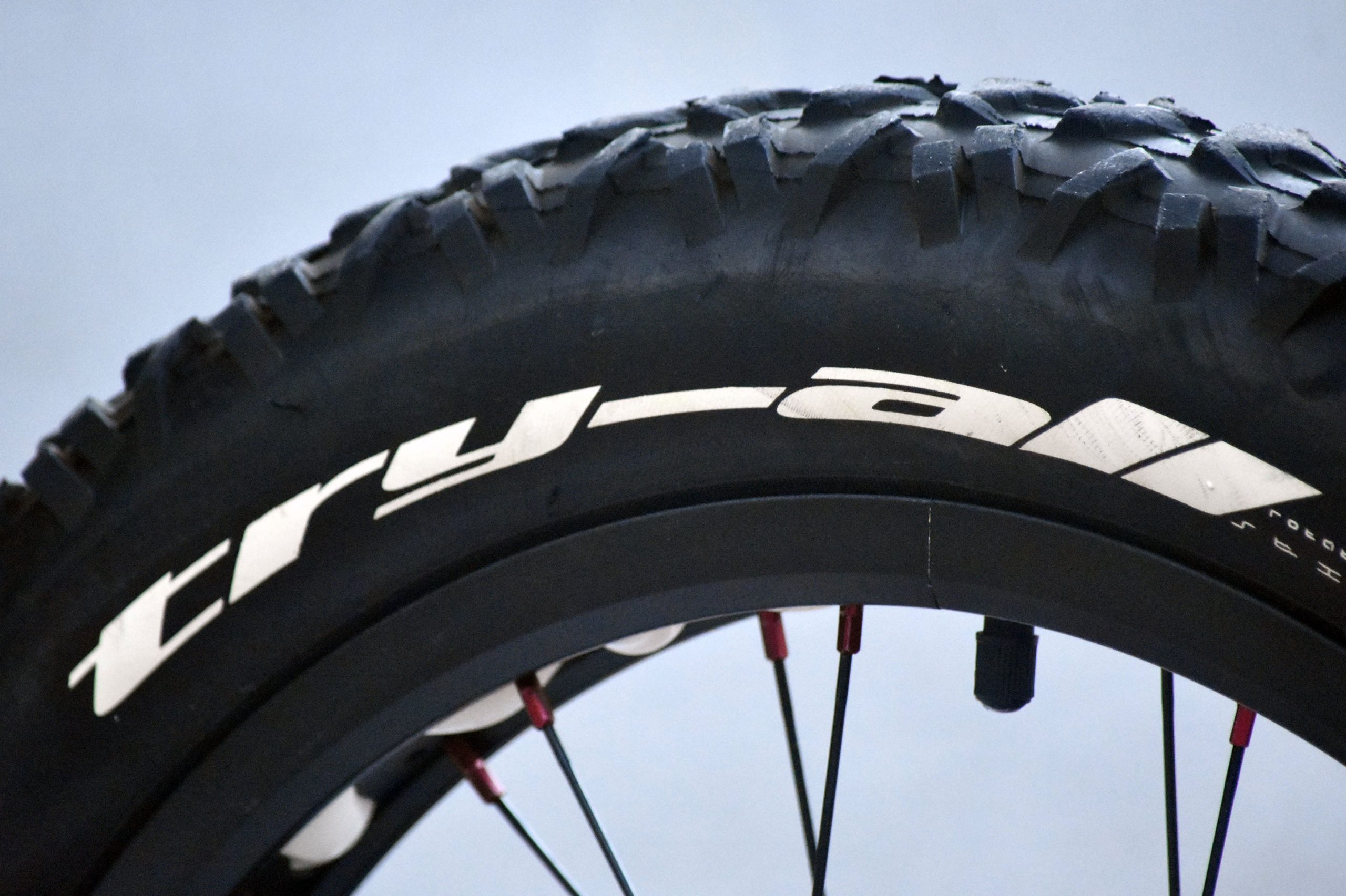 Koxx Sky 20" bike